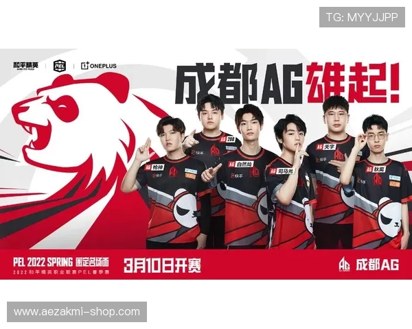 如何选择优质的ag电子试玩平台,保障你的游戏安全与娱乐体验无忧